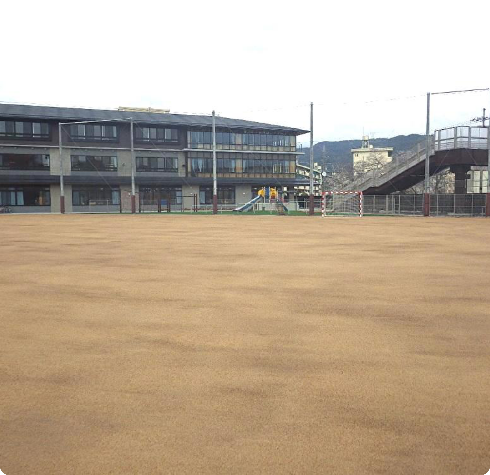 特許・各種認定