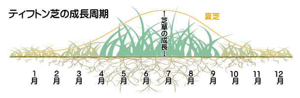 国立競技場の芝の育て方 東和スポーツ施設株式会社